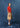 Polo SAMONA Beige - CHM26547-ROUGE-3.jpg